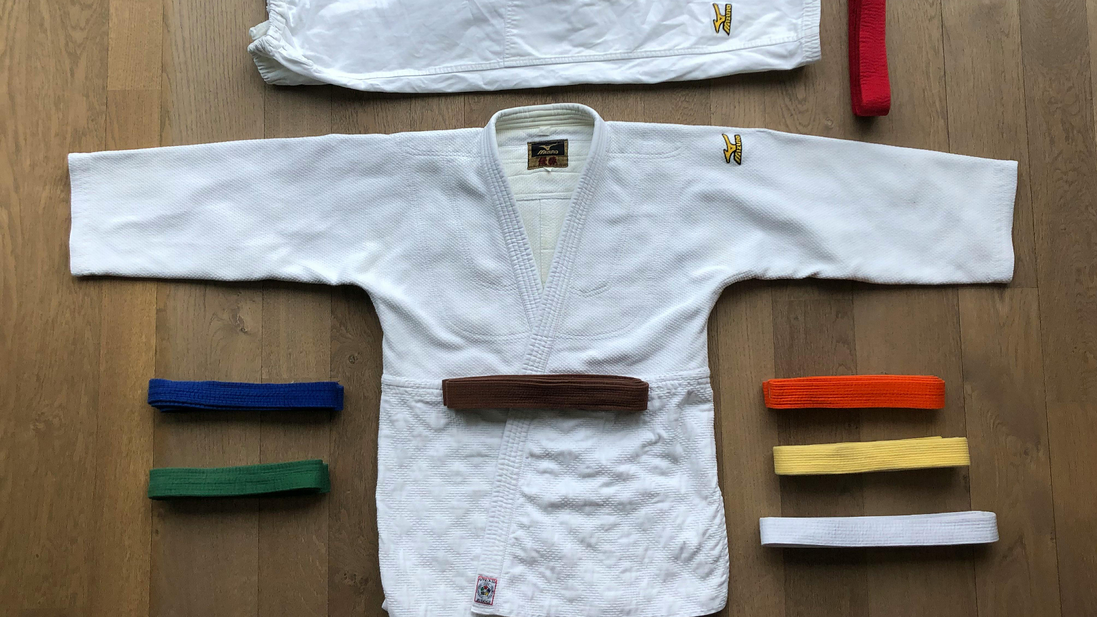 Why a Spreadsheet Can't Track Belt Progression (And What to Use Instead)