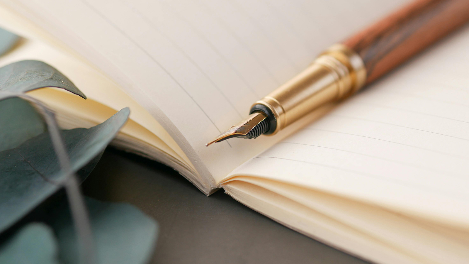 Why Most Martial Artists Don't Track Their Training (And Why It's Holding You Back)